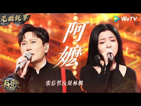 【无损纯享】#张信哲 & #周林枫 《#阿嬷 》高能返场 哲哥闽南语一出来瞬间泪目了 | #有歌2024 EP11 #hitsong2024 | WeTV综艺音乐