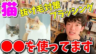 猫のブラッシング・抜け毛対策には●●●●●●●●を使っています【DaiGo切り抜き】