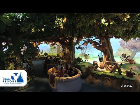 【公式】プーさんのハニーハント/Pooh's Hunny Hunt | 東京ディズニーランド/Tokyo Disneyland