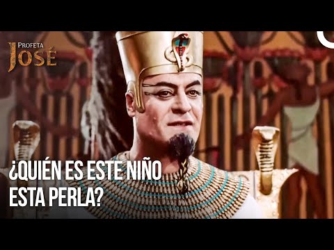 ¿Has Estado Recientemente En El Taller De Los Dioses? | Diarios Del Palacio #6