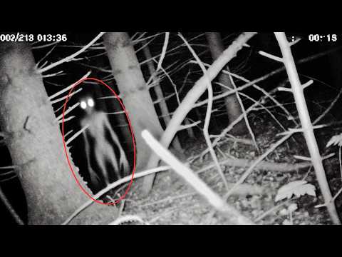 Most DISTURBING Camping Encounters Caught on Camera