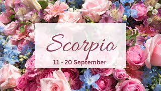 Scorpio❤️4Aces!U r the remedy to their loneliness!Ready to drop their ego & accept their mistakes..