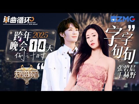 【倒计时14天🎊】张碧晨&王赫野《字字句句》丨单曲循环丨天赐的声音