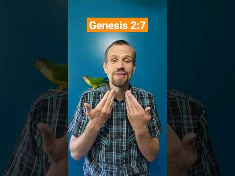 God Formed the Man! (Genesis 2:7) | Memory Verse Song and Motions for Kids