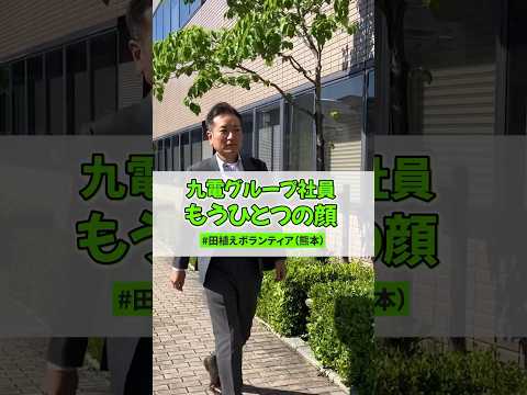 雨にも負けず！阿蘇水掛けの棚田で田植えボランティアを行いました#shorts