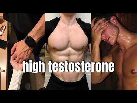 why you need to increase your testosterone level ASAP