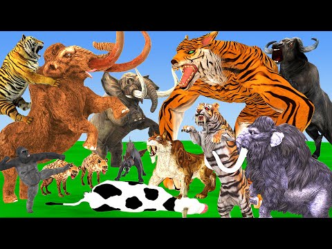 10 Mammoth Elephant vs 10 Big Cow Buffalo Bull vs 10 Giant Tiger Attack Cow Gorilla Saved By Mammoth