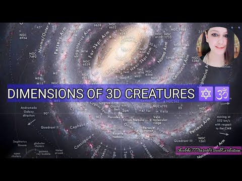 Dimensions of 3D Creature |HUMAN BEING | SOUl@Shubhi777tarot-soulevolution #trending