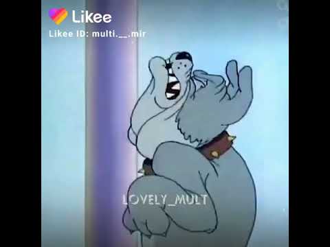 Tom and jerry edit warp me in plastic song 😆😆