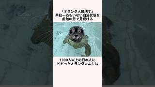 「オランダ人破壊す」アザラシ幼稚園についての雑学