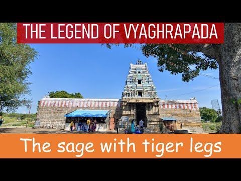 The legend of Vyaghrapada (sage with tiger legs) - witness of the Shiva Tandava - the cosmic dance