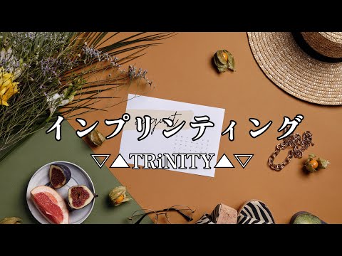 高音質カラオケ インプリンティング ▽▲TRiNITY▲▽ (高品质卡拉OK 烙印▽▲TRINITY▲▽)