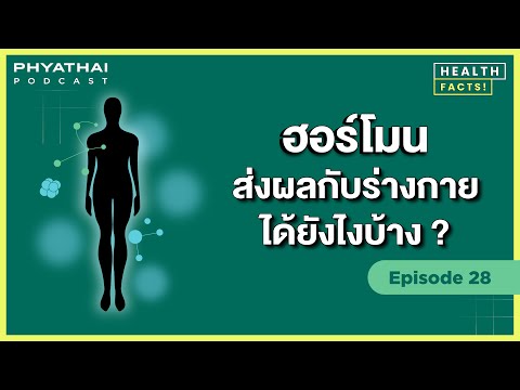 Phyathai Podcast EP.28 | ฮอร์โมนส่งผลกับร่างกายได้ยังไงบ้าง?