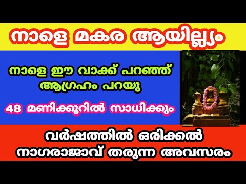 മകര ആയില്യം നാളെ ഇങ്ങനെ വിളക്ക് കൊളുത്തുന്ന വീടുകളിൽ അൽഭുതം നടക്കും..ayilyam 2025