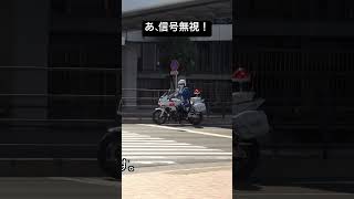 #警視庁 #交通機動隊 #交通違反 #取り締まり #警察24時 #ホンダ #神奈川県警 #クラウン #バイク #マークxスーパーチャージャー #白バイ