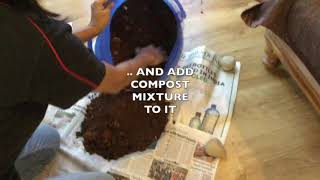 Feeding Plants with Compost