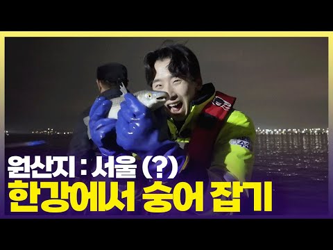 서울 출신 숭어는 뭐가 다를까?🎣 쭈꾸가 알려드림!  [6시 내고향] | KBS 250312 방송