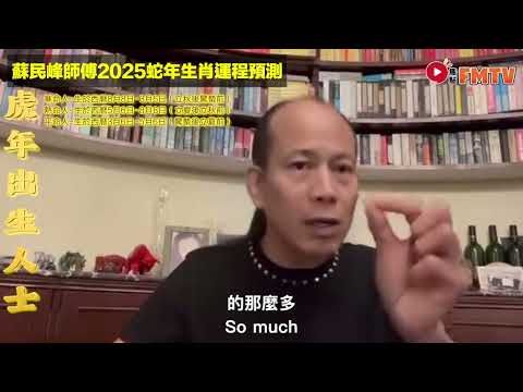 【虎】2025乙巳年生肖運程｜蘇民峰師傅預測2025蛇年十二生肖運勢｜2025犯太歲、人緣運、財運、事業運、姻緣運生肖詳講 #玄宇宙