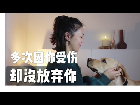 【德国养狗】为了帮助我的狗狗 花了2万元人民币上课 | 中德犬行为课程对比