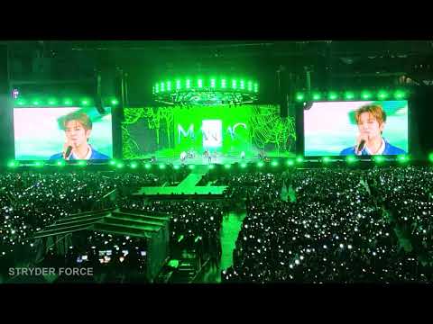 Seungmin "STAY" Cover - STRAY KIDS 2nd World Tour Maniac LA Concert Performance at BMO STADIUM D1