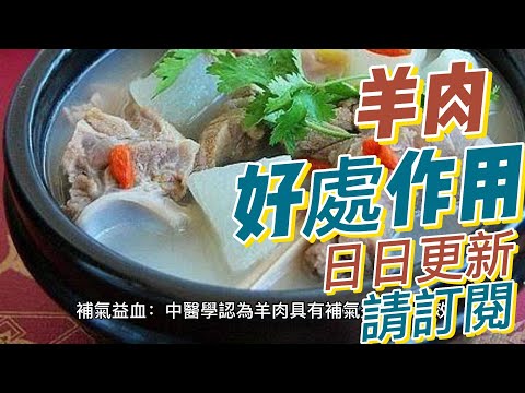 EP144 羊肉 lamb meat 的好處與作用  高蛋白質 健康  養生 天然 食療 原形食物