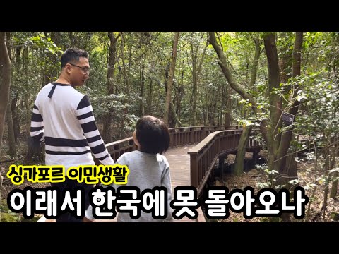 이민생활 이래서 한국에 못 돌아가는 거였나? | 싱가포르 이민생활