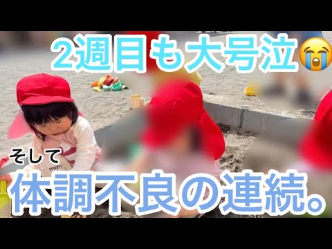 慣らし保育【１歳8ヶ月】2週目に突入しても泣いてばかり。復帰日延期。体調不良の連続で慣らし保育どころではない。絶叫出産した助産師の娘