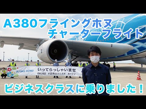 【ホヌ】ANAフライングホヌのチャーターフライト、ビジネスクラスに乗ってきました！中部発中部行｜A380｜遊覧飛行｜ANA｜ビジネスクラス