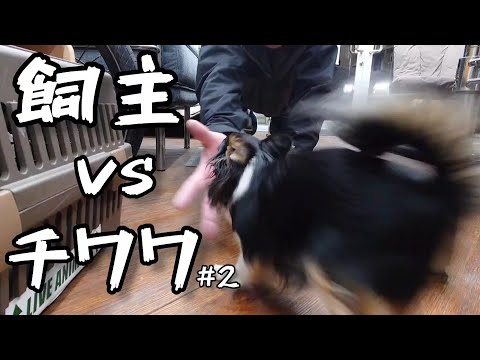 帰るまでに時間が掛かるめんどくさい犬。