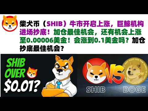 柴犬币（SHIB）牛市开启上涨，巨鲸机构进场抄底！加仓最佳机会，还有机会上涨至0.00006美金！会涨到0.1美金吗？加仓抄底最佳机会？#shib币#柴犬币#屎币行情分析