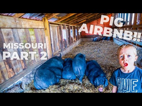 WE SLEPT IN A MUSEUM!!! | Missouri Unique  Airbnb | WHERE PIGS FLY FARM