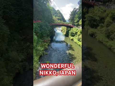 Beautiful captures at the Old Red bridge of #nikko #japan #shorts #viralvideo