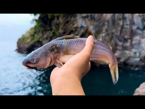 腐った魚を海に落とすと…