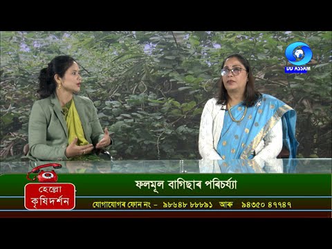 Krishi Darshan - Phone in Live (18/12/2024) |ফল- মূলৰ বাগিচাৰ পৰিচৰ্য্যা