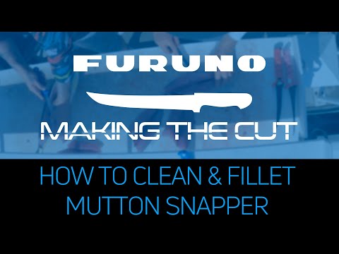 Making the Cut: How to Clean and Fillet a Mutton Snapper