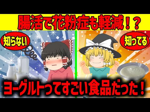 【ゆっくり解説】ヨーグルトってすごいですよ！