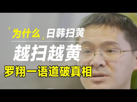 为什么日韩扫黄越扫越黄，罗翔为你揭开隐藏在背后的大网