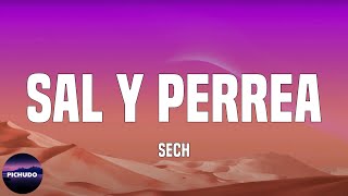 Sech - Sal y Perrea  (Letra/Lyrics)