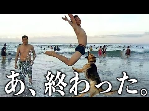 【神回】ツッコミどころ満載な動物のおもしろ動画見ようぜwwwwww#12【ハプニング映像】【犬】【猫】