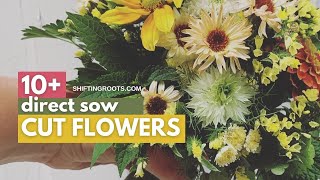 10+ Cut Flowers--No Seed Starting Required