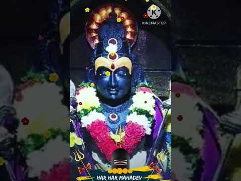 #bakthisongs #முருகன்பக்திபாடல்கள் #hindumusic #devotionalsongs #murugansongs #