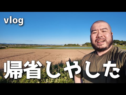 【vlog】１年ぶりの帰省。田植えシーズンでした。  #独身男 #vlog  #帰省