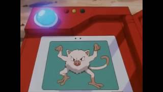 Mankey And Primeape Using Trash Pokédex Entries