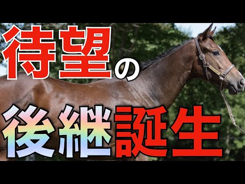 ついに後継種牡馬が誕生！重要な血を持つ2頭が種牡馬入り。