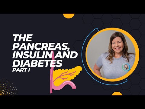 The Pancreas, Insulin and Diabetes: Part I | Blood Sugar Regulation