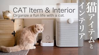 SUB)【買ってよかったもの】猫グッズ/インテリアと合わせるコツ/エキゾチックショートヘア