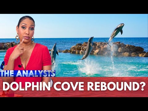 The Analysts- Can Dolphin Cove Recover?