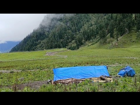 Real Shepherd Life in Nepali Mountain Village in the Heavy Rain _ Shepherd Food Cooking #nepal