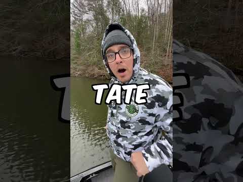 There's a Giant School of Fish Under My Boat! #fishing #challenge #catchandcook #googanbaits