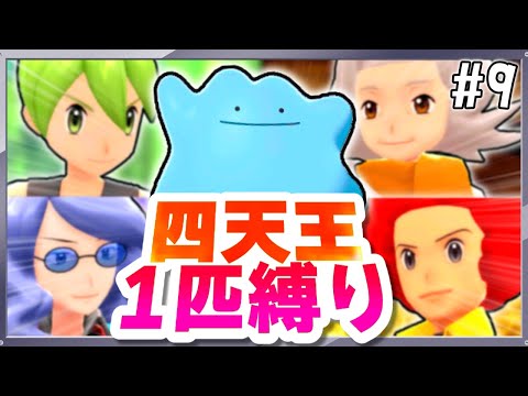 【BDSP】メタモン1匹縛りで四天王を倒す！(メタモン旅#9)【ポケモン】【ゆっくり実況】【色違い】